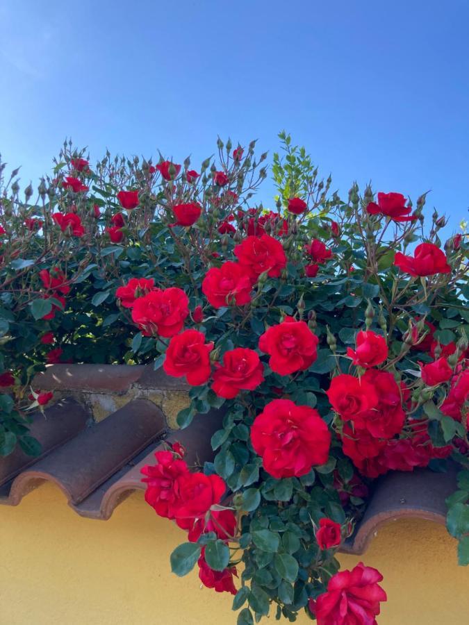 La Rosa Del Lago Bracciano  Εξωτερικό φωτογραφία