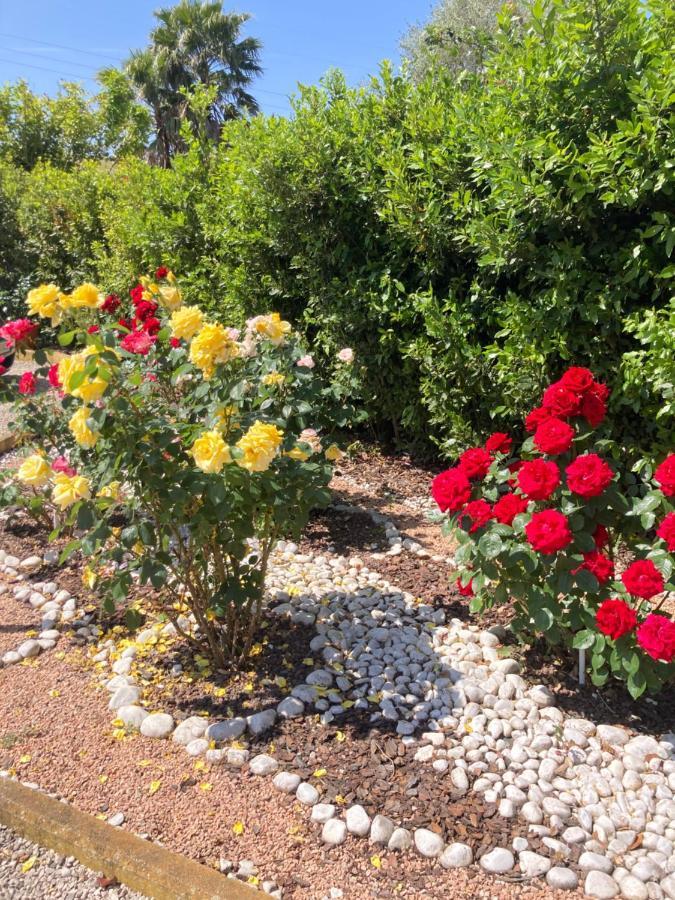 La Rosa Del Lago Bracciano  Εξωτερικό φωτογραφία