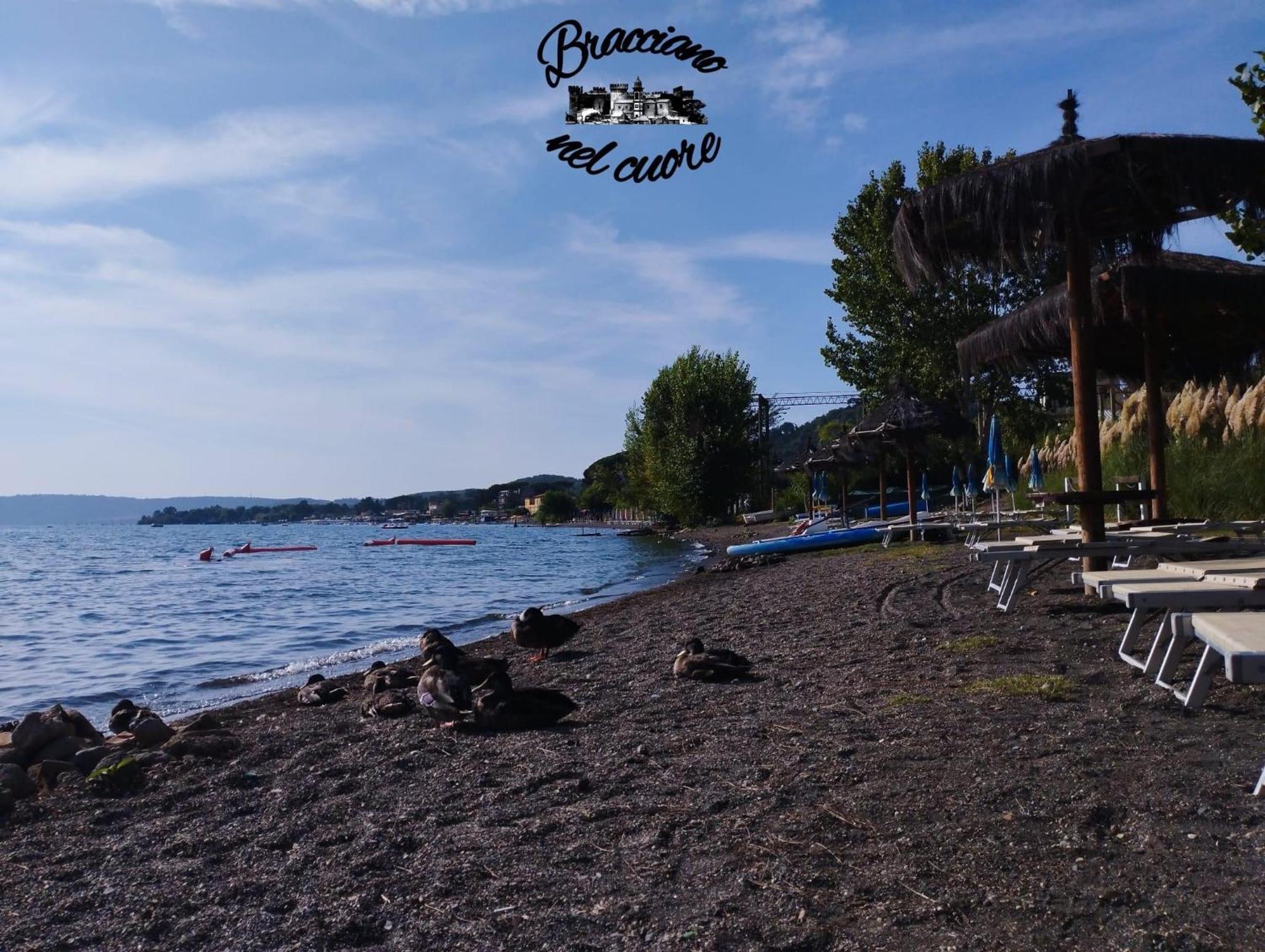 La Rosa Del Lago Bracciano  Εξωτερικό φωτογραφία