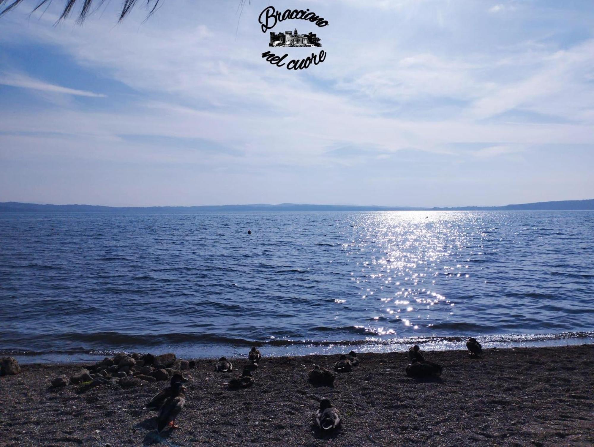 La Rosa Del Lago Bracciano  Εξωτερικό φωτογραφία