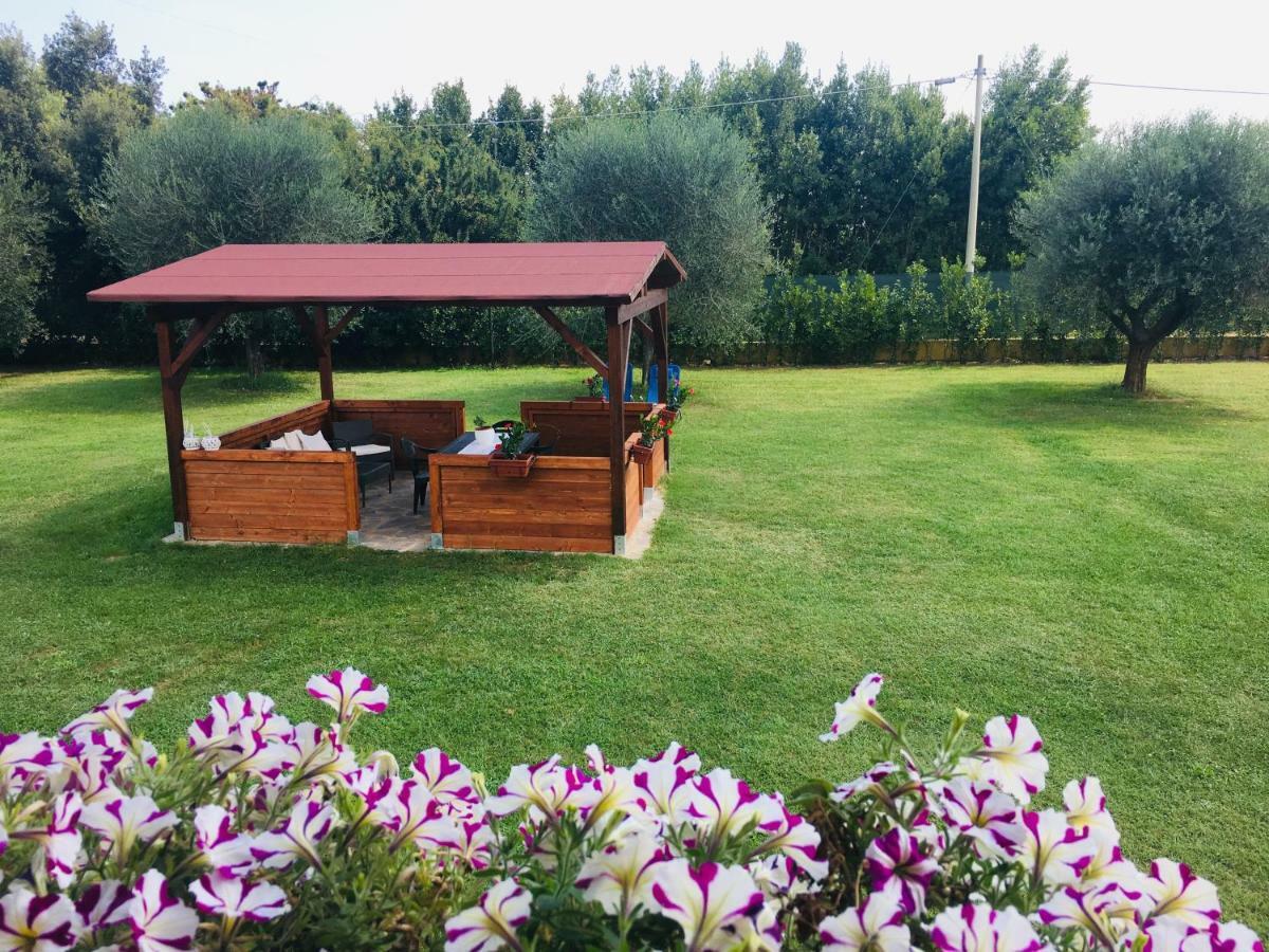La Rosa Del Lago Bracciano  Εξωτερικό φωτογραφία