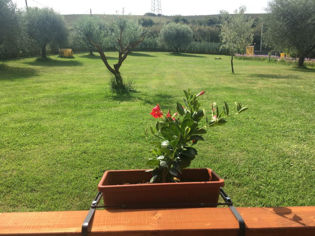 La Rosa Del Lago Bracciano  Εξωτερικό φωτογραφία