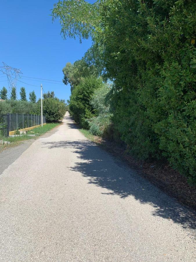 La Rosa Del Lago Bracciano  Εξωτερικό φωτογραφία