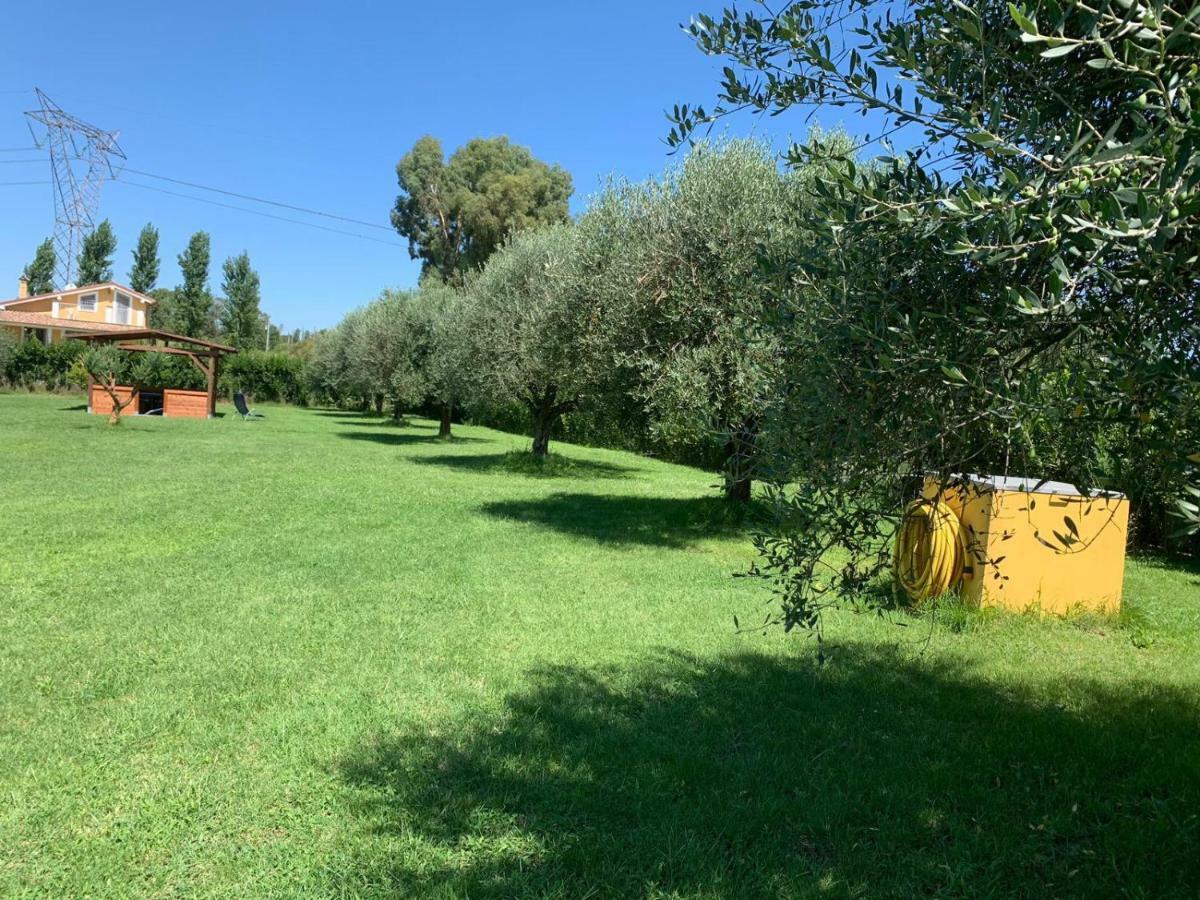 La Rosa Del Lago Bracciano  Εξωτερικό φωτογραφία